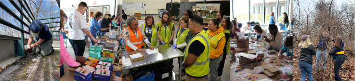 5 images of volunteers working at GDS projects