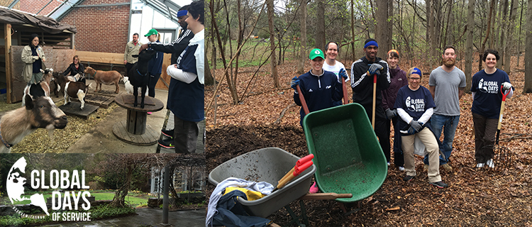 SNHU Global Days of Service Mass Audubon Clean Up