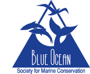 Blue Ocean Society for Marine Conservation
